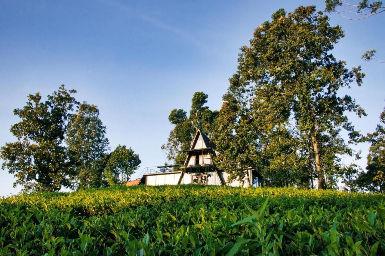 The Backyard บาลันโกดา ภายนอก รูปภาพ