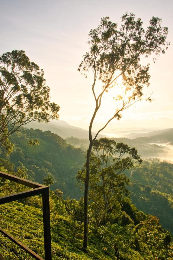 The Backyard บาลันโกดา ภายนอก รูปภาพ