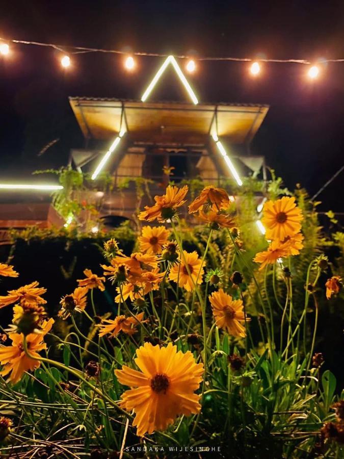 The Backyard บาลันโกดา ภายนอก รูปภาพ