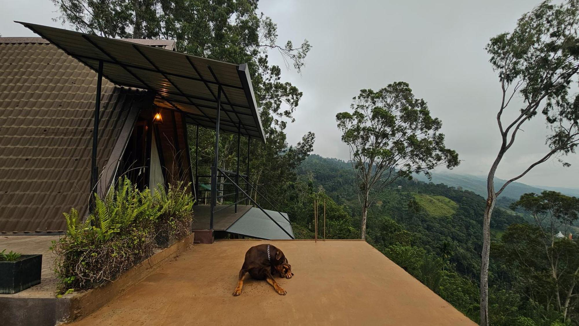 The Backyard บาลันโกดา ภายนอก รูปภาพ