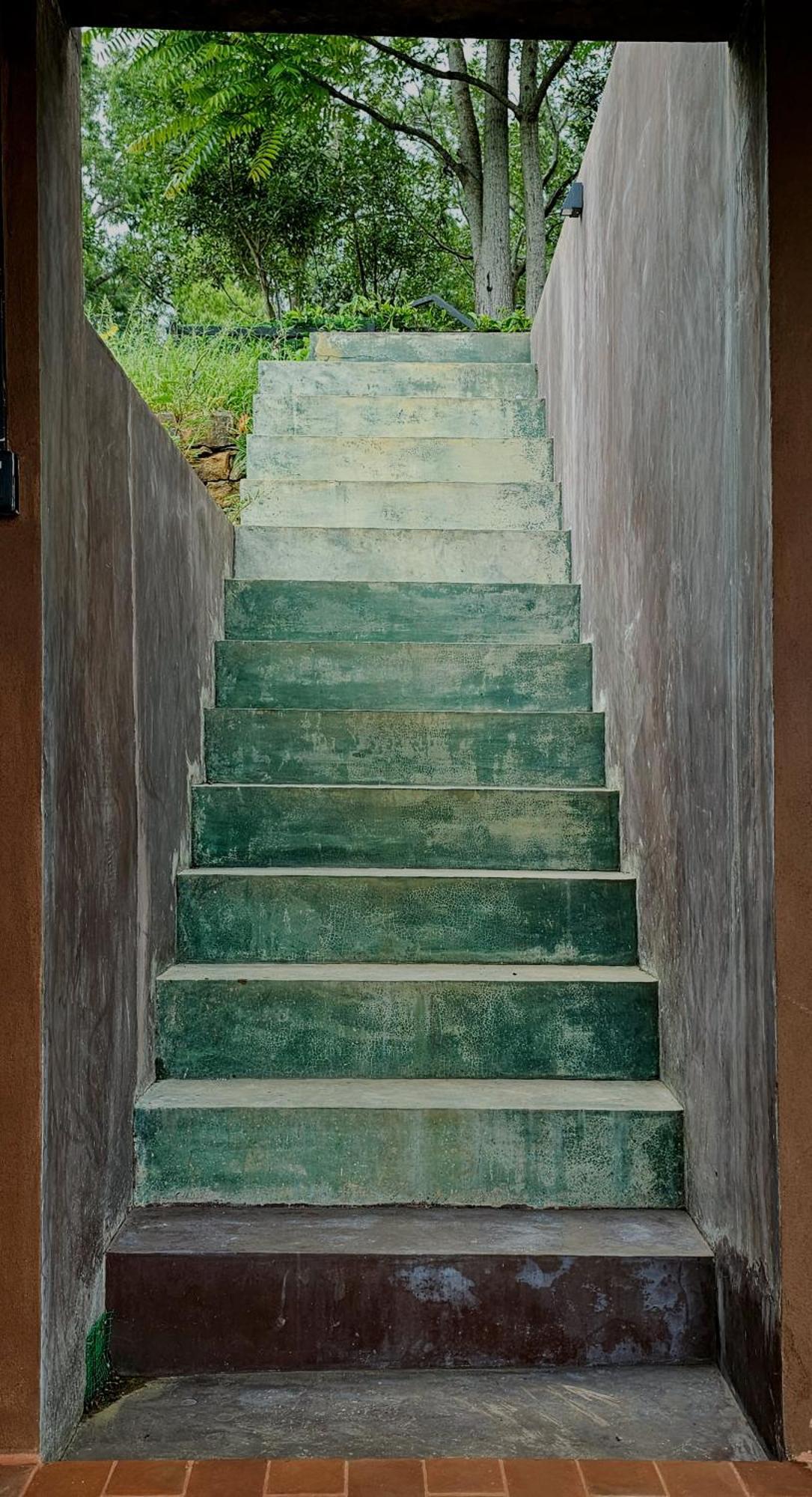 The Backyard บาลันโกดา ภายนอก รูปภาพ